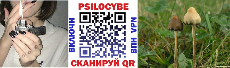 Псилоцибиновые грибы MAGIC MUSHROOMS  дарк нет формула  Калачинск  omg зеркало 